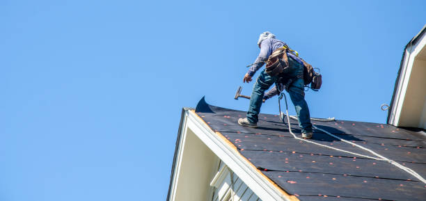 Best Roof Gutter Cleaning  in Surfside, FL